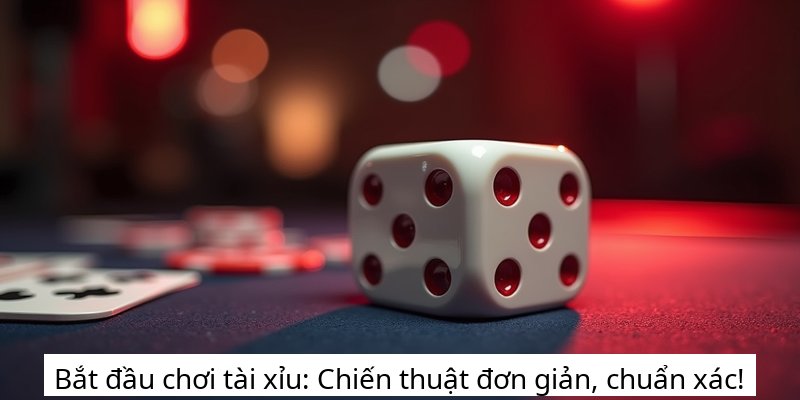 Bắt đầu chơi tài xỉu: Chiến thuật đơn giản, chuẩn xác!