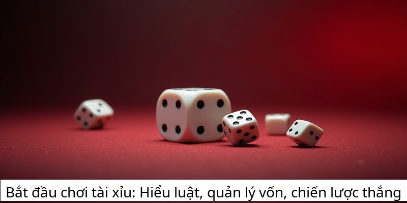 Bắt đầu chơi tài xỉu: Hiểu luật, quản lý vốn, chiến lược thắng