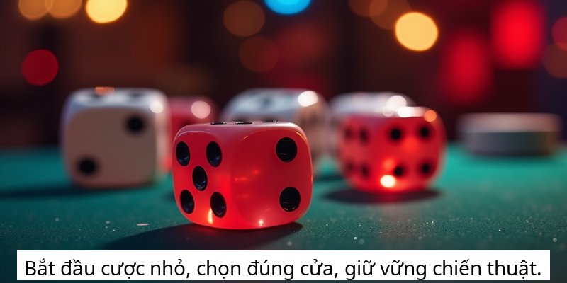 Bắt đầu cược nhỏ, chọn đúng cửa, giữ vững chiến thuật.