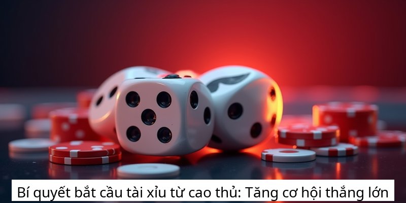 Bí quyết bắt cầu tài xỉu từ cao thủ: Tăng cơ hội thắng lớn