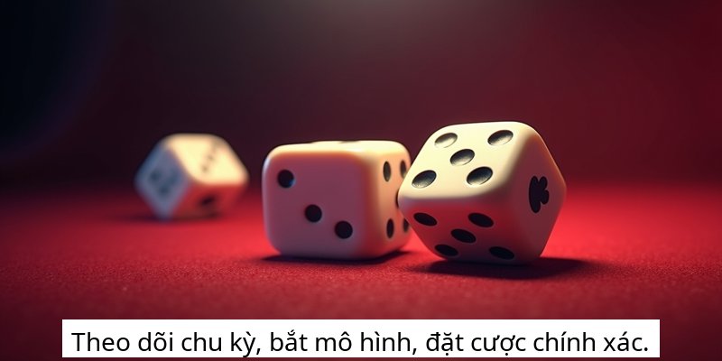 Theo dõi chu kỳ, bắt mô hình, đặt cược chính xác.